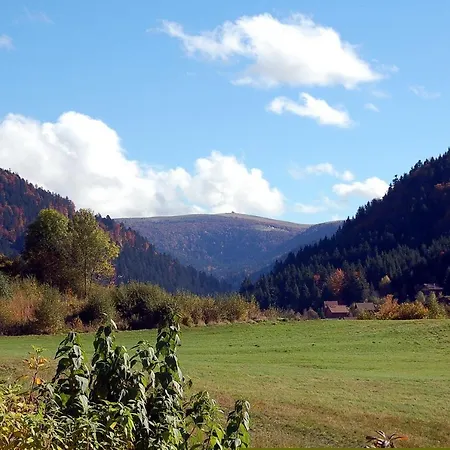 Le Murmure Du Ruisseau